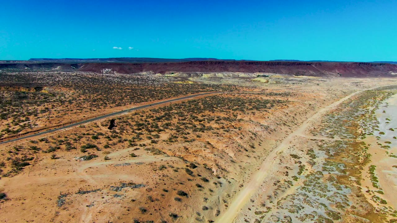 Aerial desert road with eagle over sandy scrubland
