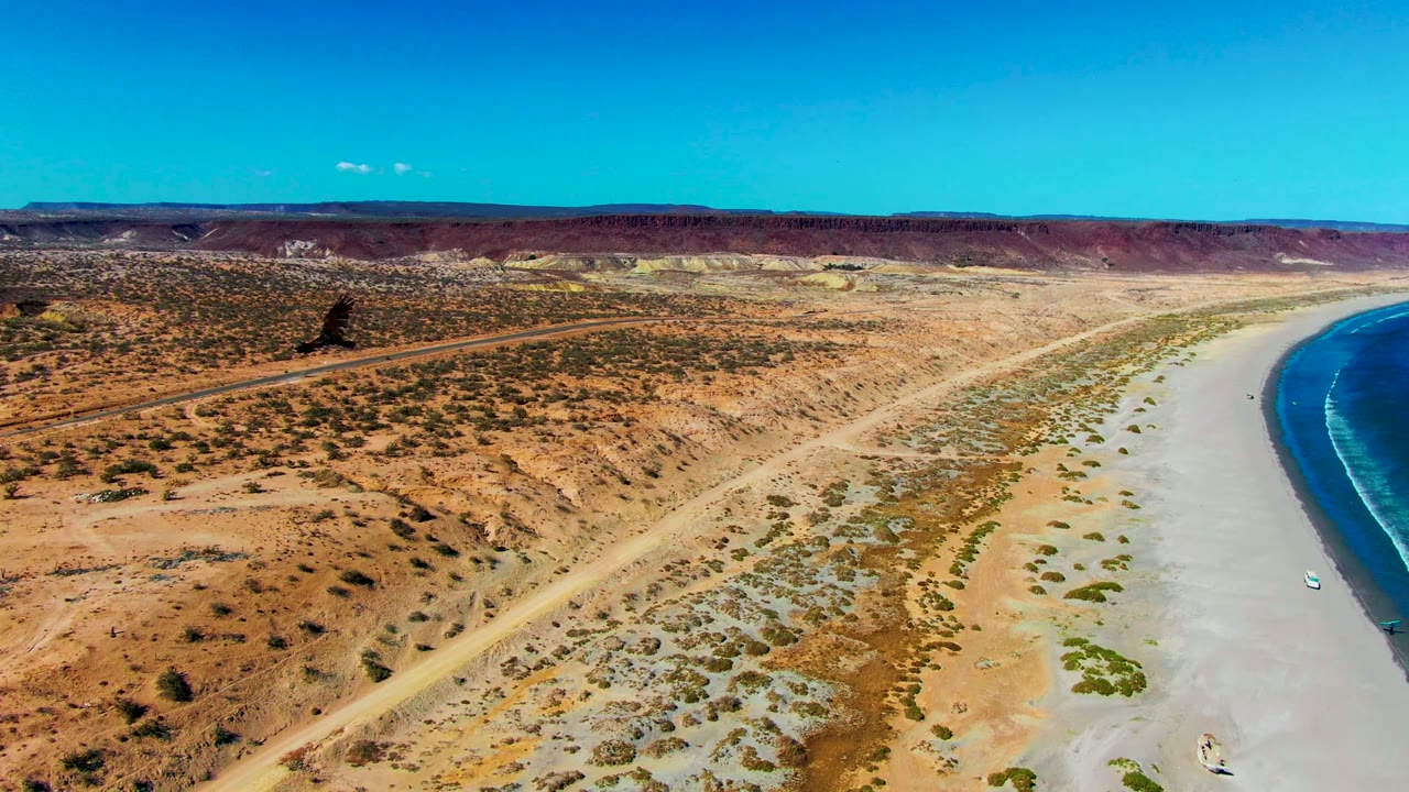 A dark bird crosses the sky above San Juanico's desert coastline, with a diagonal dirt road, pale beach flats, blue ocean edge, distant mesas, and no visible people.