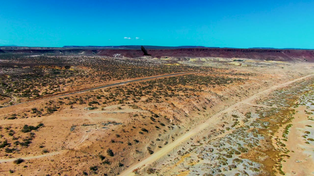 A bird appears near the horizon above San Juanico's arid coast, with the dirt road cutting through scrubland toward pale beach flats and no visible people.