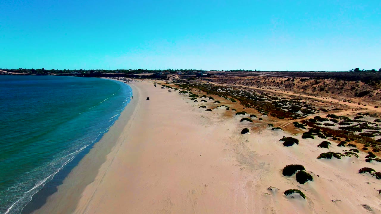 Drone view along a curving beach with ocean surf and dune vegetation.