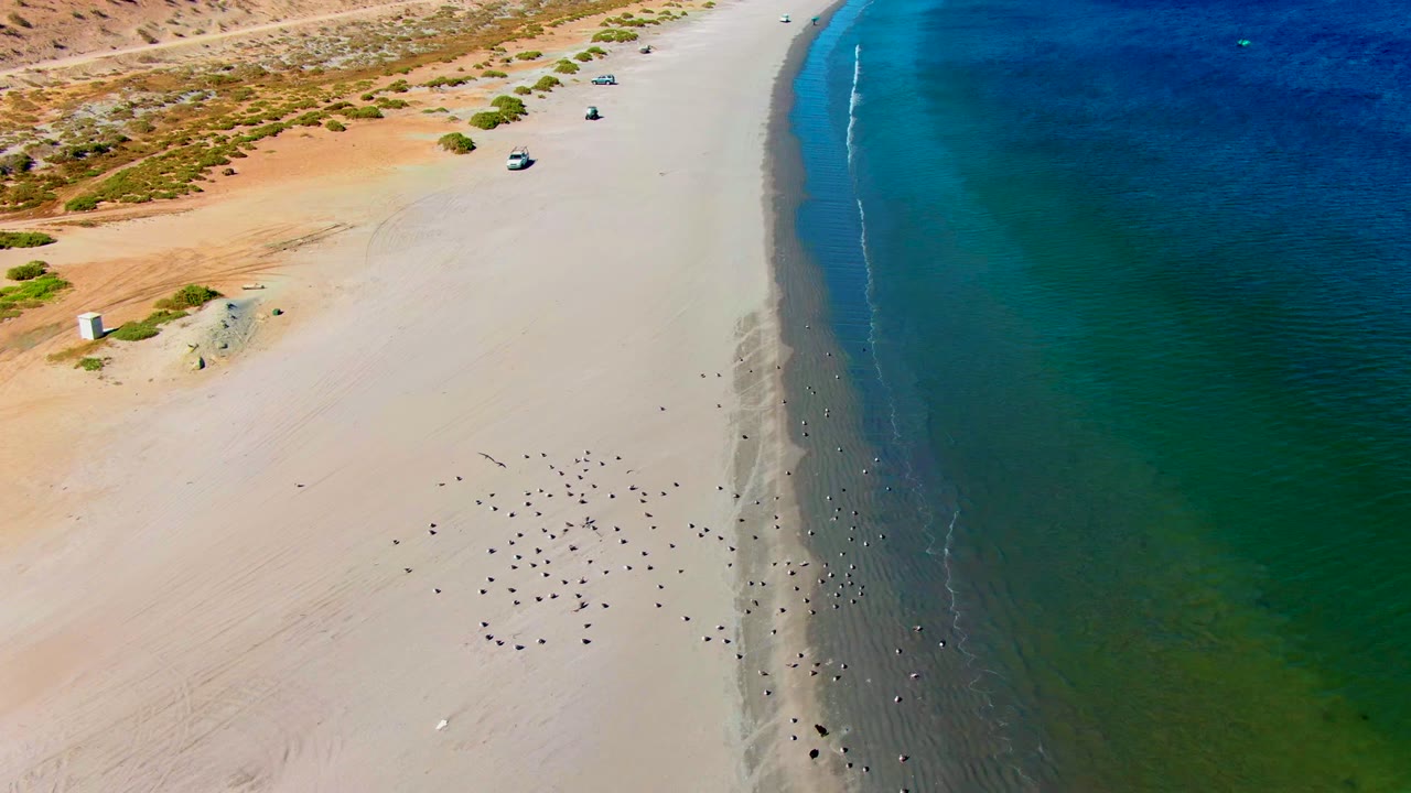 Aerial view over San Juanico, Baja California Sur, with pale sand, blue-green ocean, several vehicles, scattered dark shore objects, desert vegetation, and no visible people.