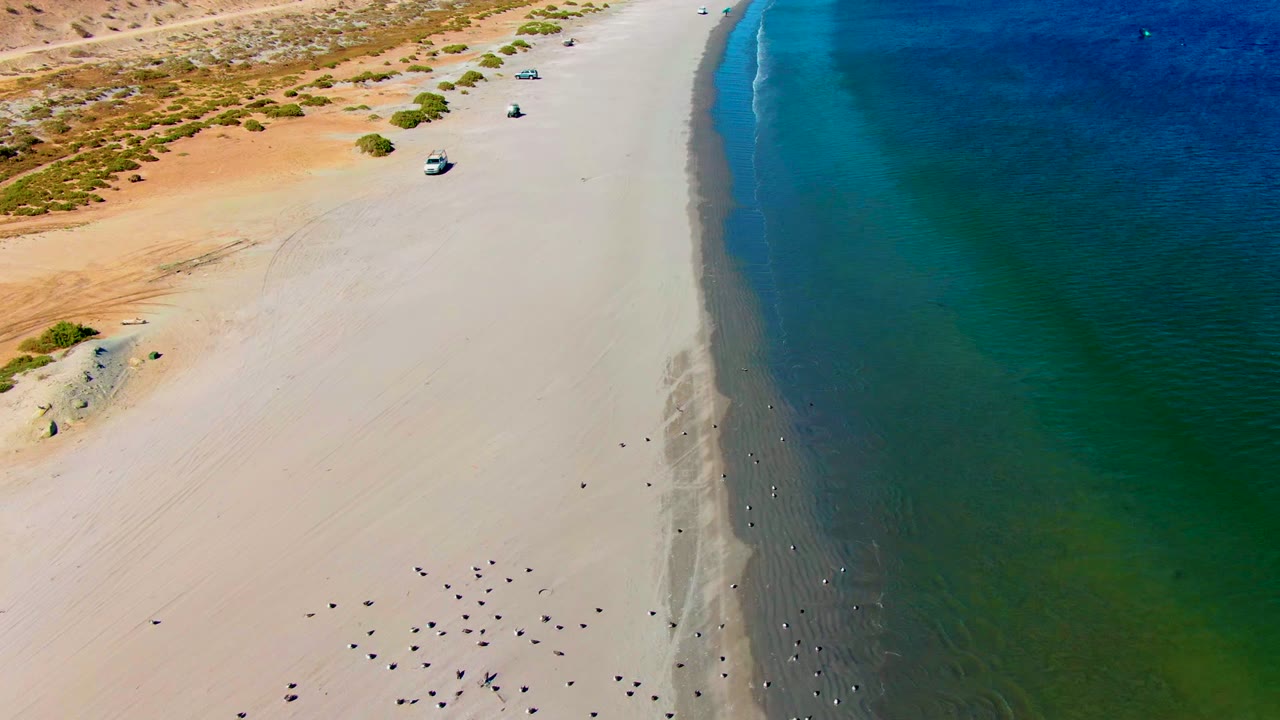 San Juanico aerial frame with the ocean on the right, a dark cluster near the wet sand, vehicles near the desert edge, sparse vegetation, and no visible people.