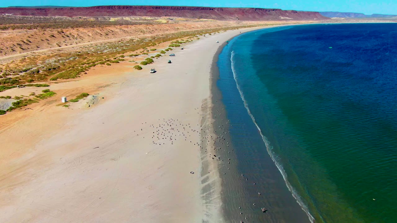 Curving beach with shallow turquoise water and desert scrub inland