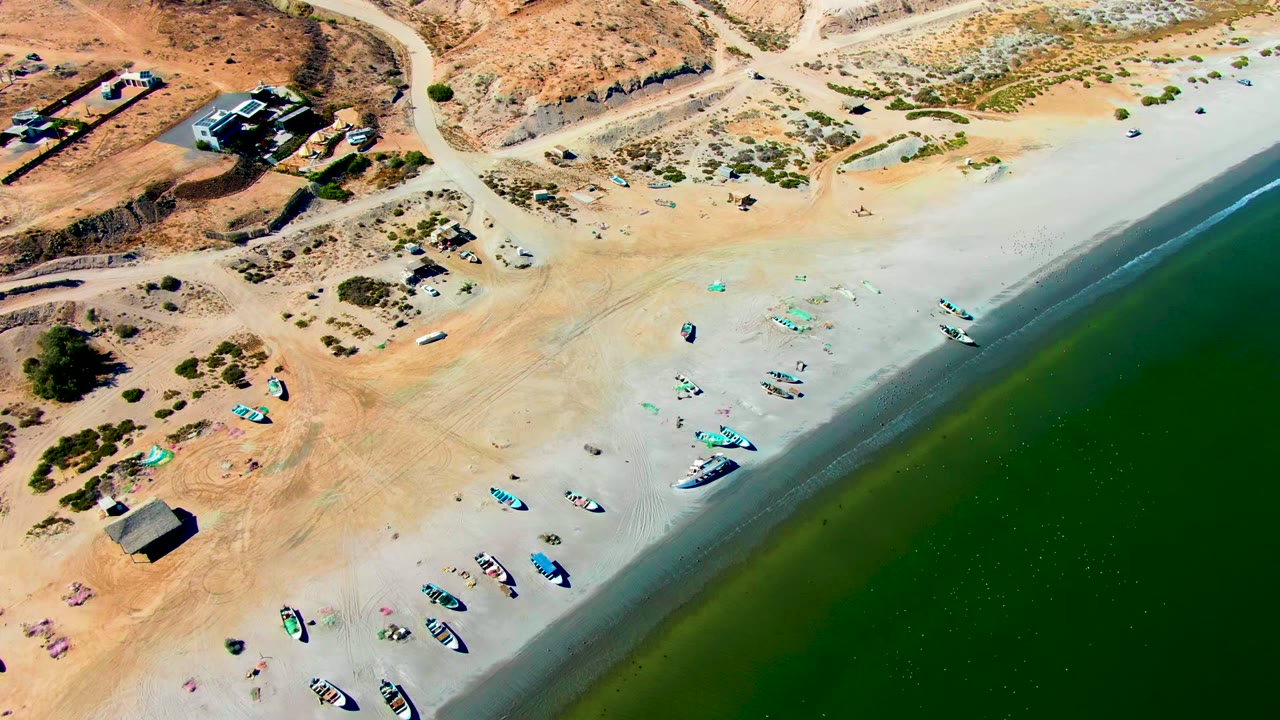 Drone view of boats scattered on sand beside calm green water.