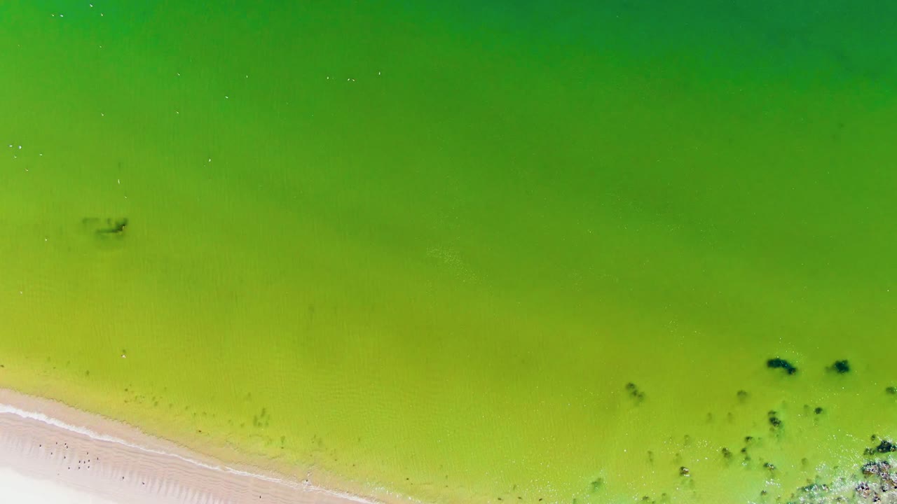 Overhead view in San Juanico, Baja California Sur with pale sand along the lower left edge, yellow-green shallow water, darker underwater patches, and no visible people.