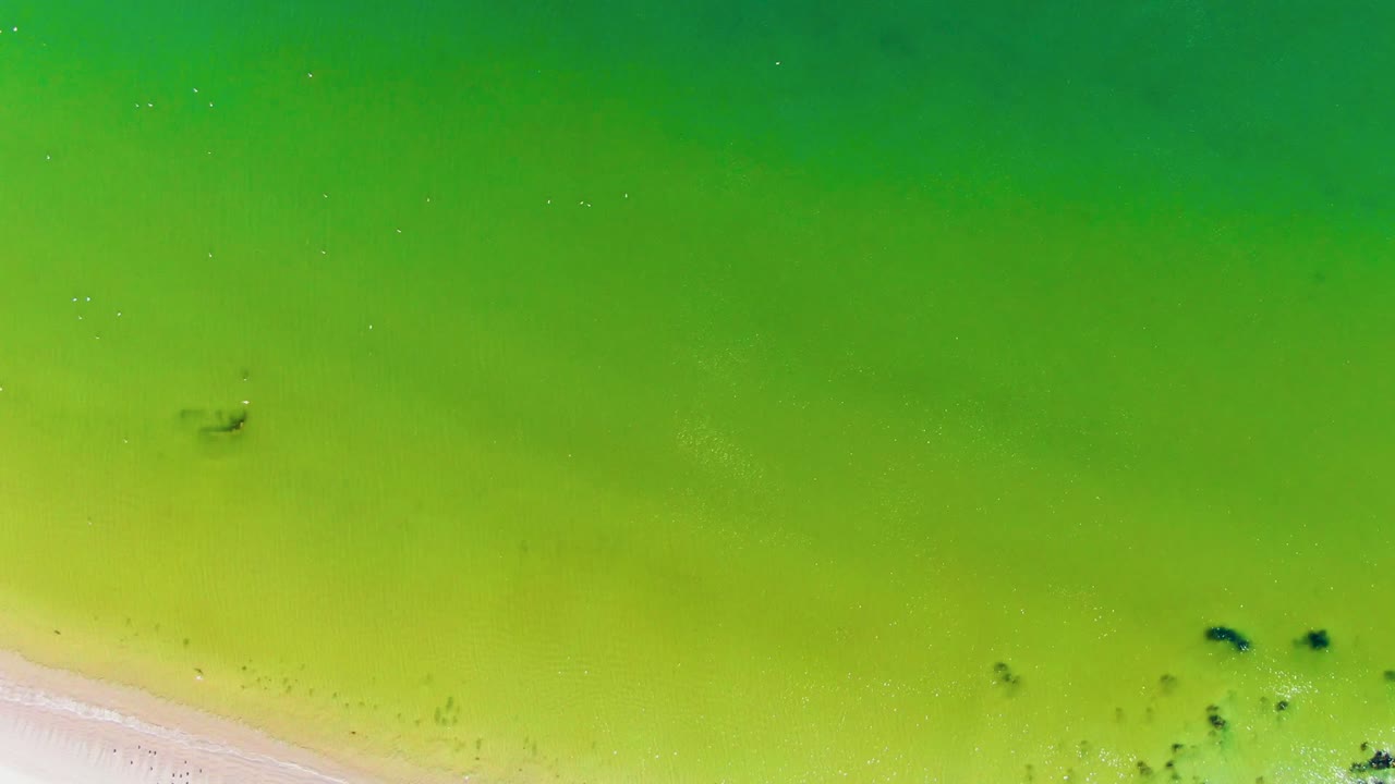 Aerial view of green water and a narrow sand edge