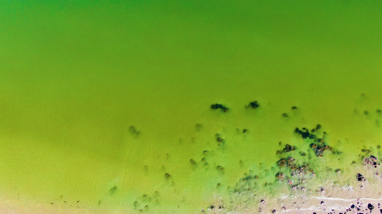 Overhead view of green water near the San Juanico shoreline, with dark algae or rock patches clustered close to pale sand and no visible people.