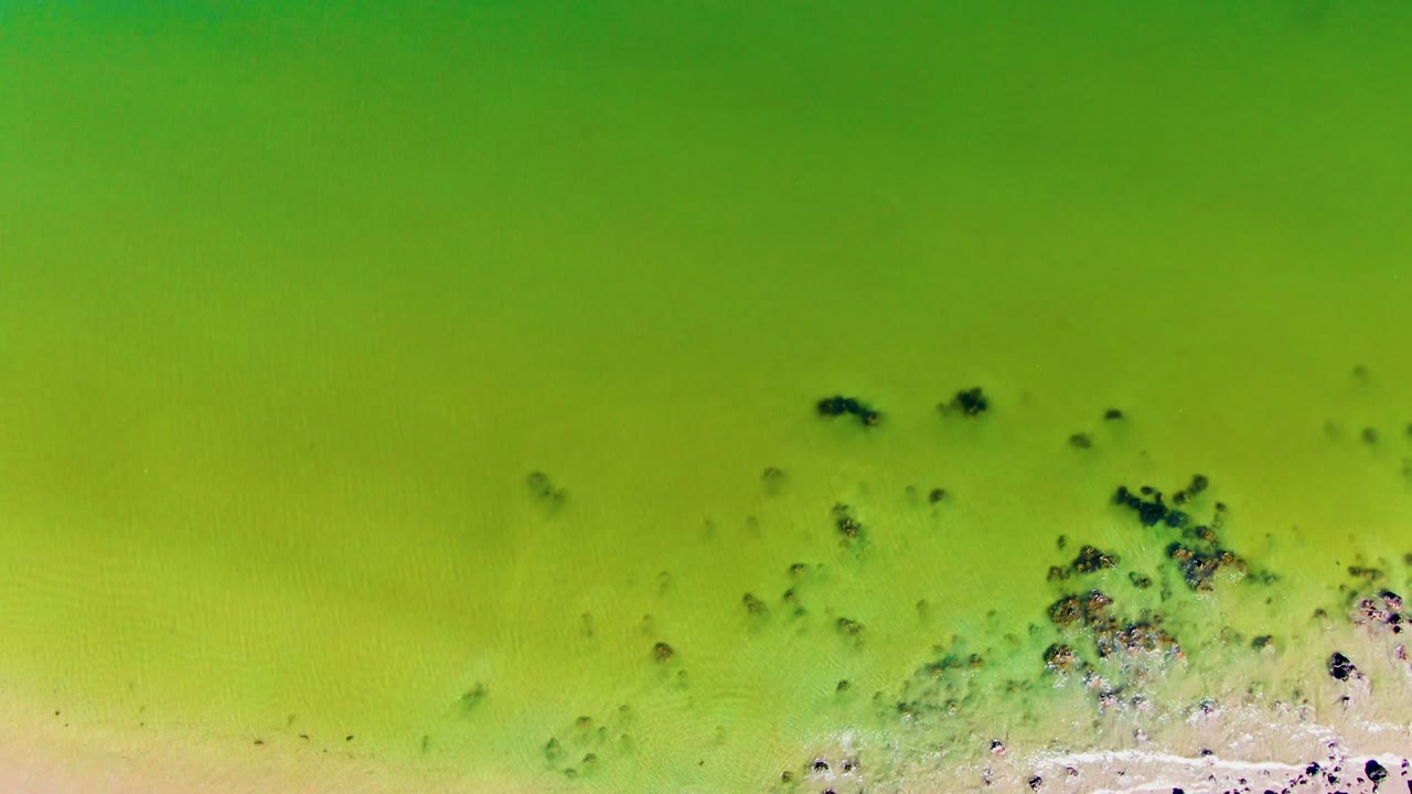 Green coastal water over dark patches beside pale sand