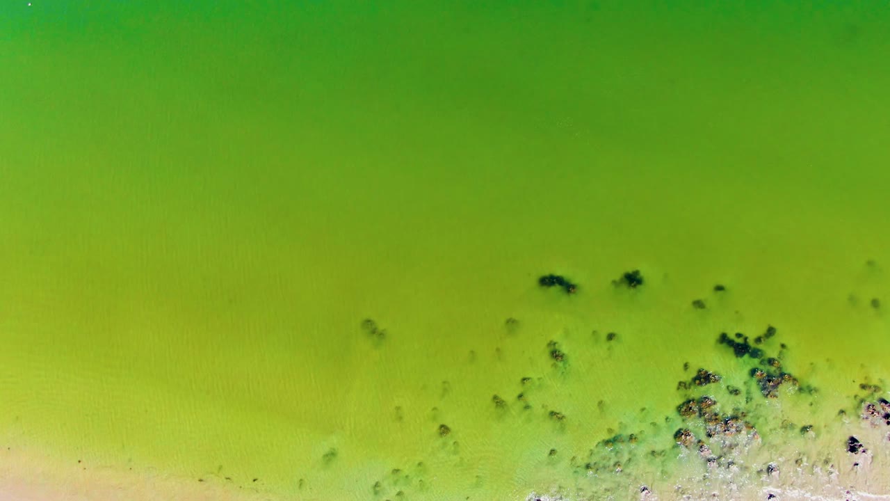 Aerial view of the San Juanico shore where green water surrounds clustered dark rocks or algae near the exposed sand, with no visible people.