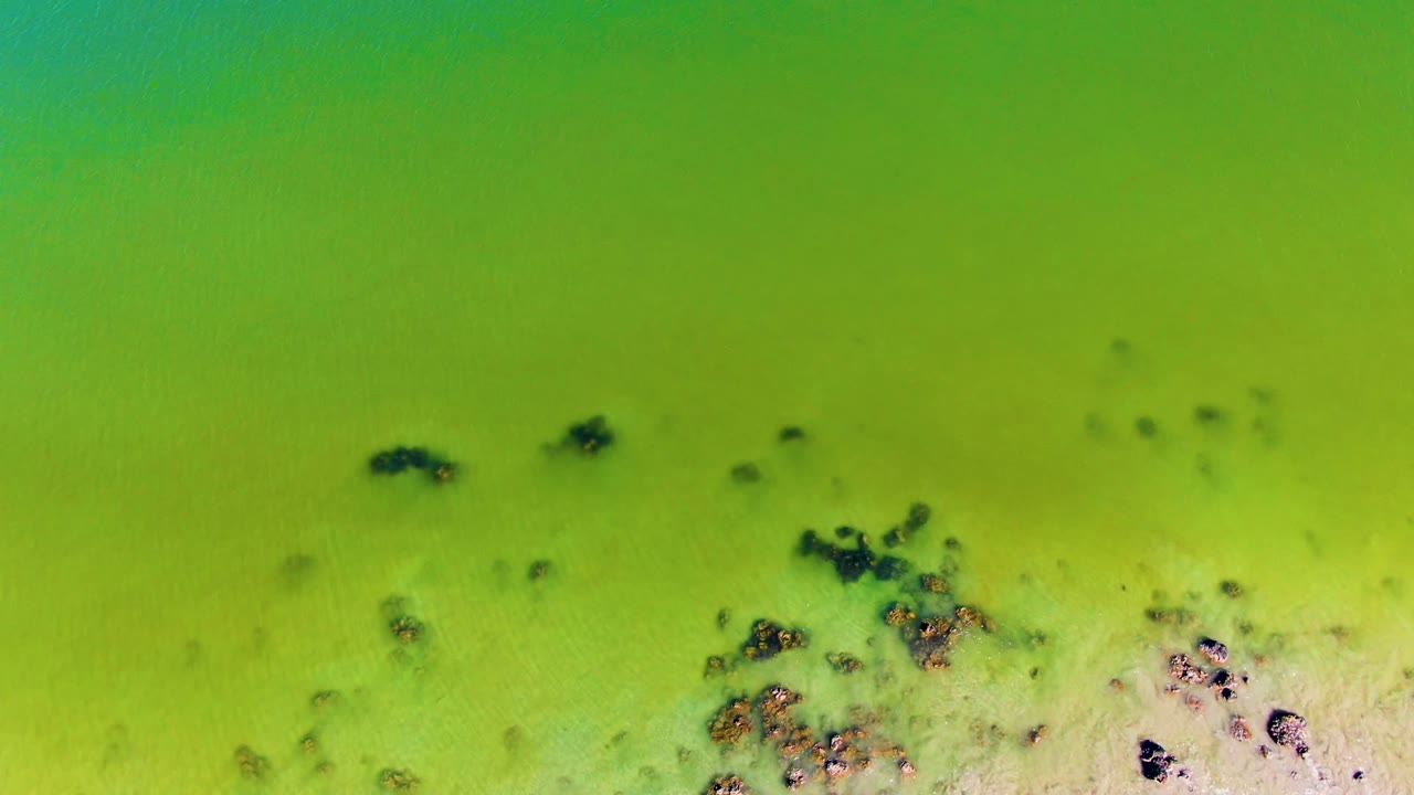 Top-down aerial view of green shallow water in San Juanico, Baja California Sur, with dark debris clusters near a pale sandy bottom and no visible people.