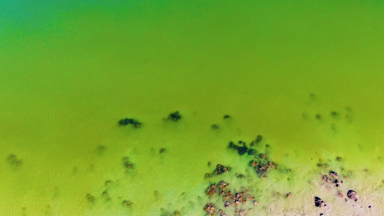 Green water seen from above with debris clusters and pale sand at the lower edge.
