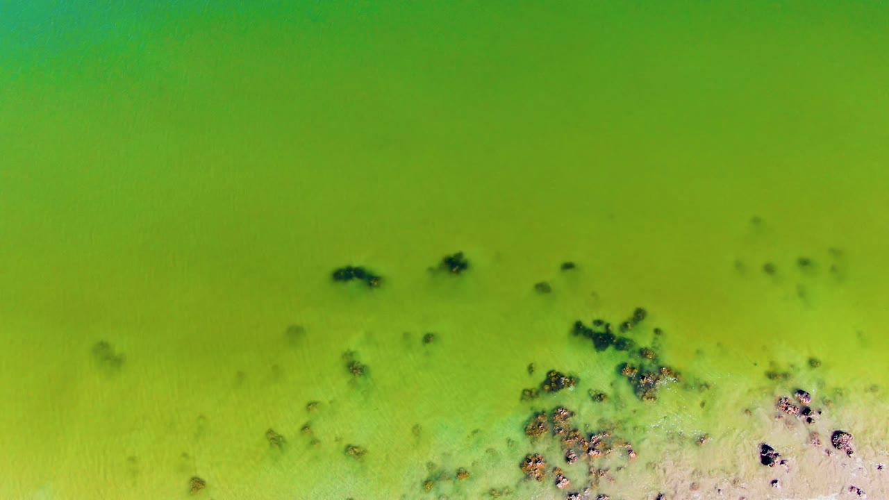Aerial view over San Juanico, Baja California Sur, with bright green shallow water, darker floating debris, pale bottom tones along the lower edge, and no visible people.