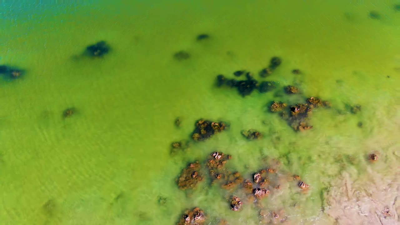 Overhead view of green shallow water in San Juanico, Baja California Sur, with clustered dark algae patches, pale sand visible below, and no visible people.