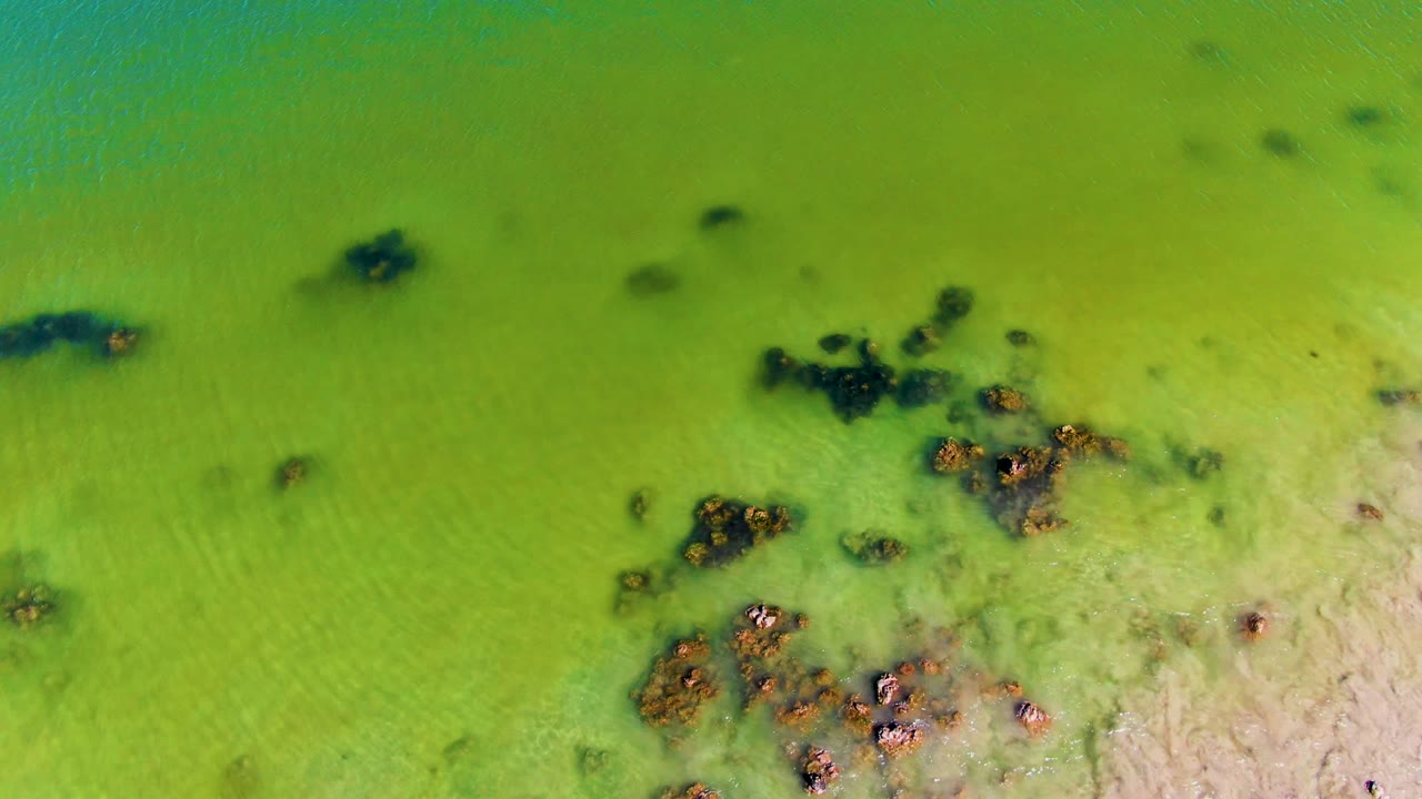 Aerial green water with algae clusters over sandy shallows.