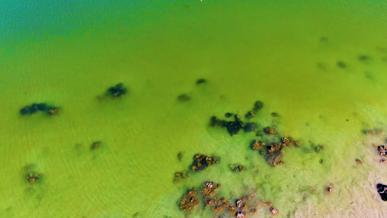 Overhead San Juanico water frame with dark organic patches set against lime-green shallows, pale seabed at the lower edge, and no visible people.