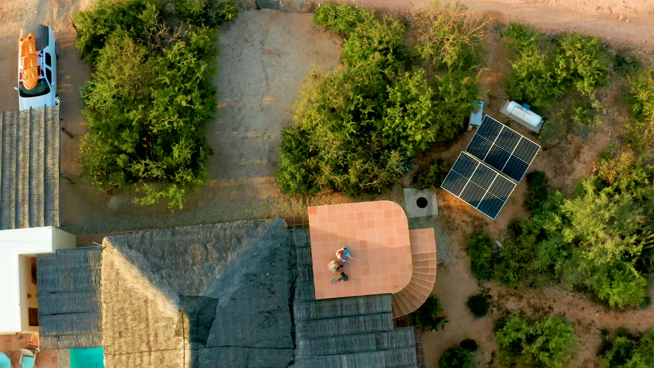 Top-down drone frame in Cabo Pulmo, Baja California Sur showing a thatched-roof house, curved patio, solar panels, surrounding trees, a dirt road, and a parked car at the edge.