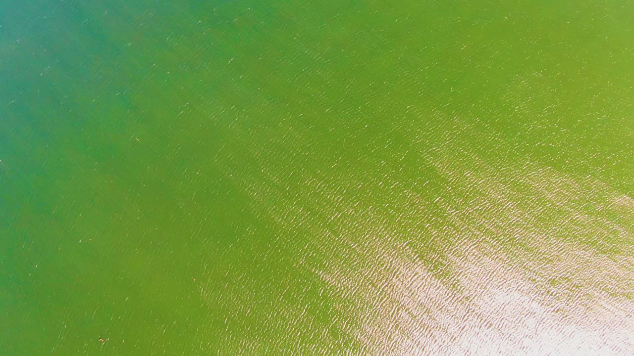 Aerial view of green shallow coastal water in San Juanico, Baja California Sur, with fine ripples and bright reflected light entering from the lower right, no visible people.