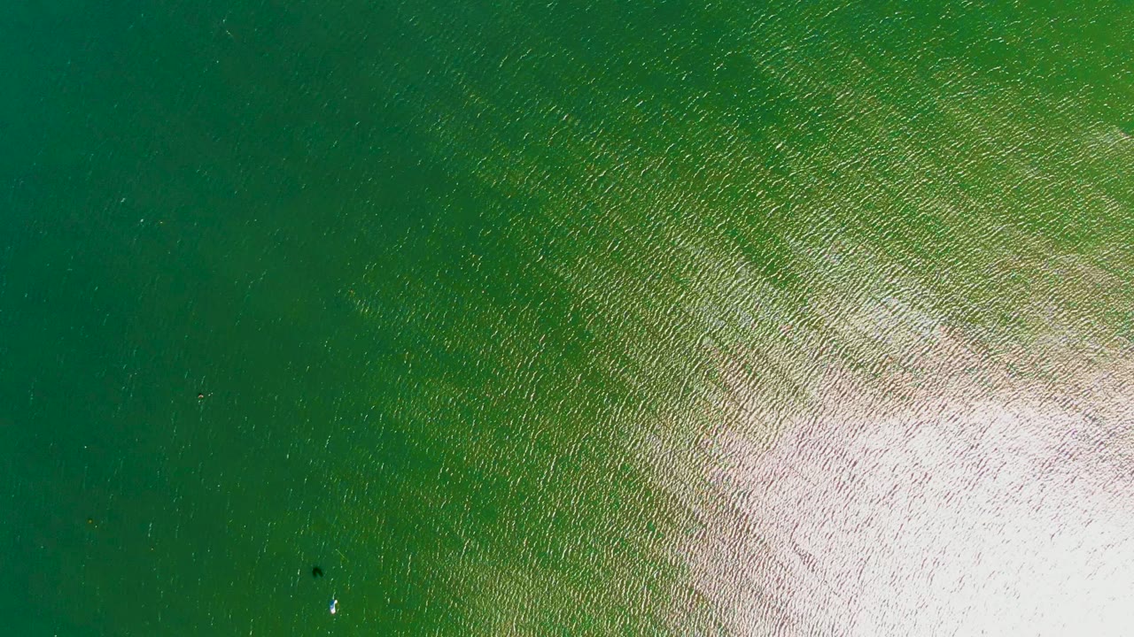 Darker green water with ripples, glare, and a small dark object near the lower center.