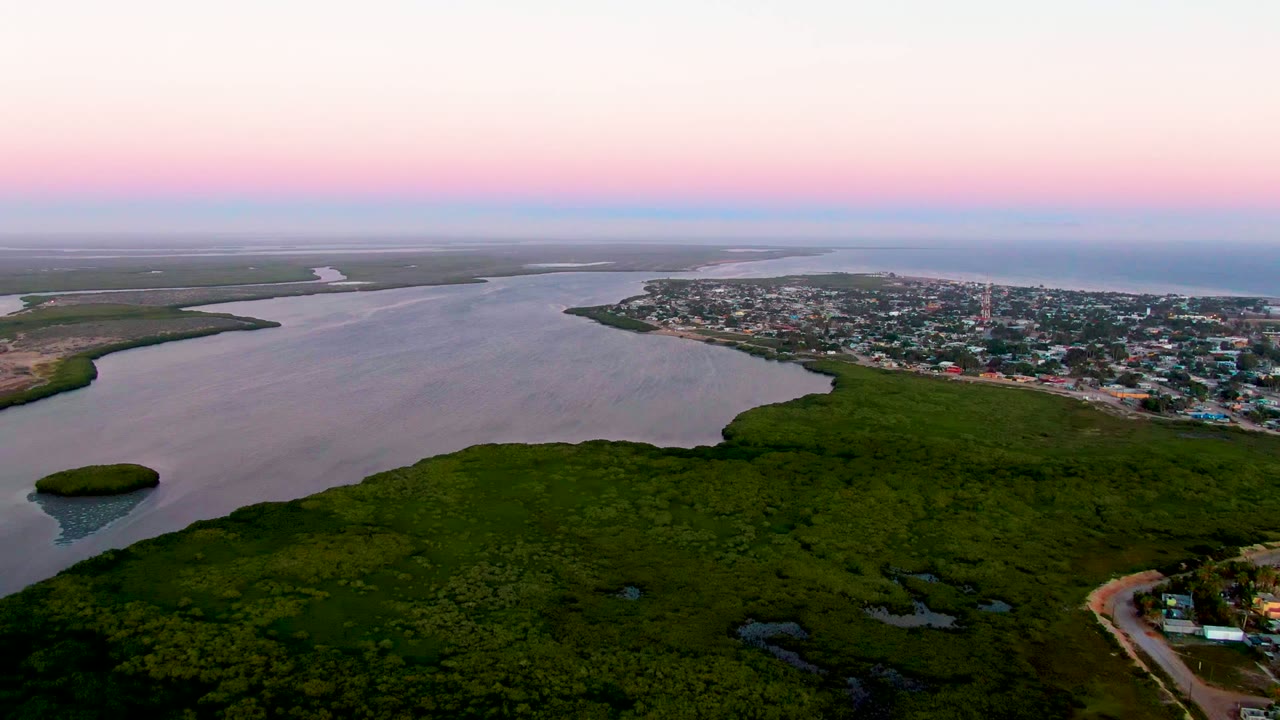 Aerial view over San Carlos, Baja California Sur, showing a wide inlet bordered by dense green vegetation, a curving shore road, distant buildings, and a pink sunset sky with no visible people.