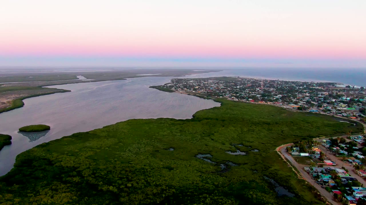 High aerial view over San Carlos, Baja California Sur, showing green coastal forest in the foreground, a river channel, the town along the shore, open water beyond, and no visible people.