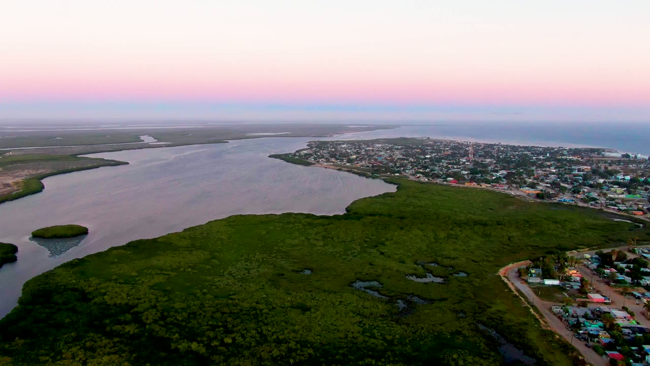 Aerial river landscape with dense green vegetation and coastal town at dusk.