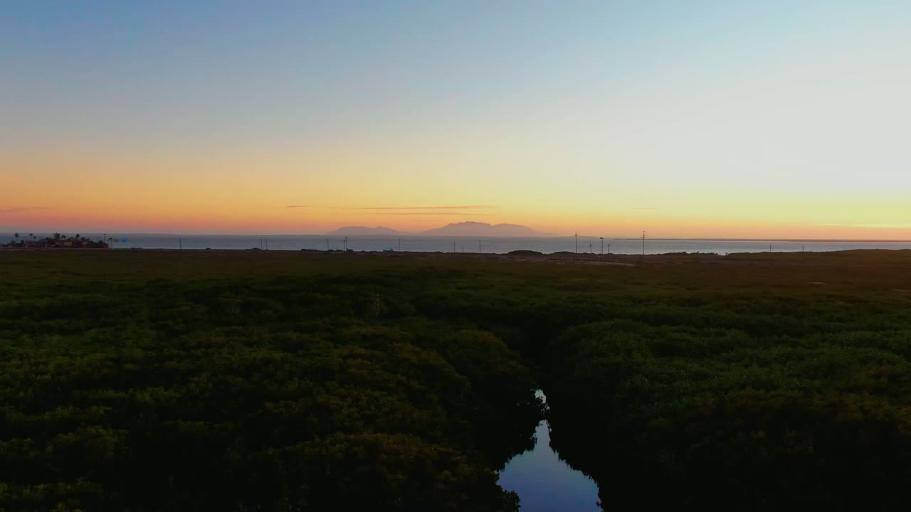 Aerial view in San Carlos, Baja California Sur with dark wetland vegetation in the foreground, a narrow reflective channel near center, distant ocean, and no visible people.