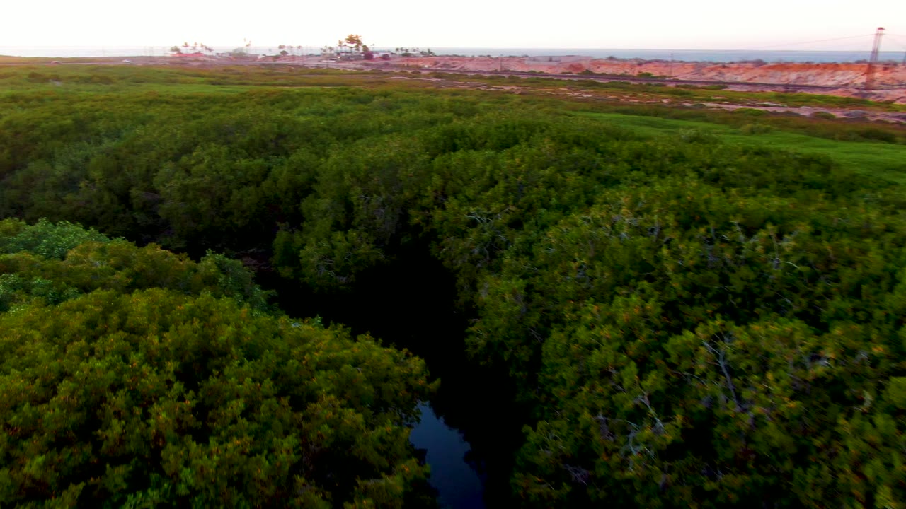 Green canopy surrounds a narrow dark waterway with industrial structures in the distance.