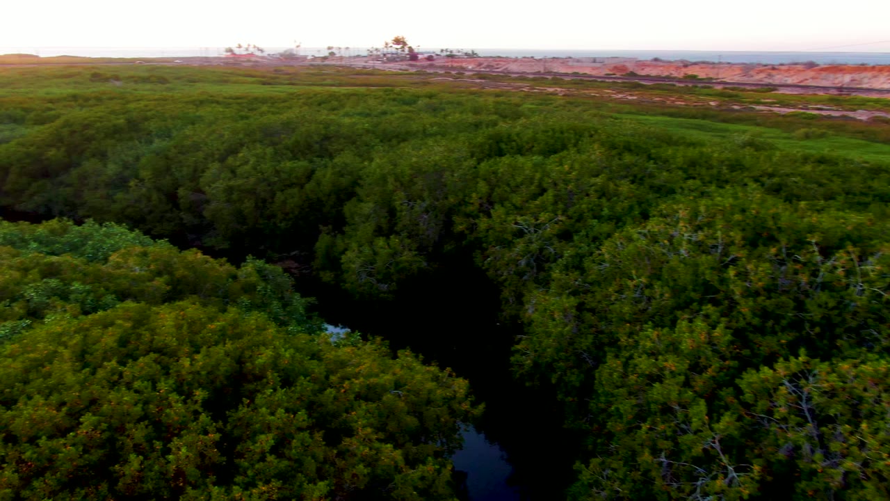 Aerial view in San Carlos, Baja California Sur, showing darker foreground trees, a small blue-black water opening between branches, reddish pale open ground in the background, distant industrial forms, and no visible people.