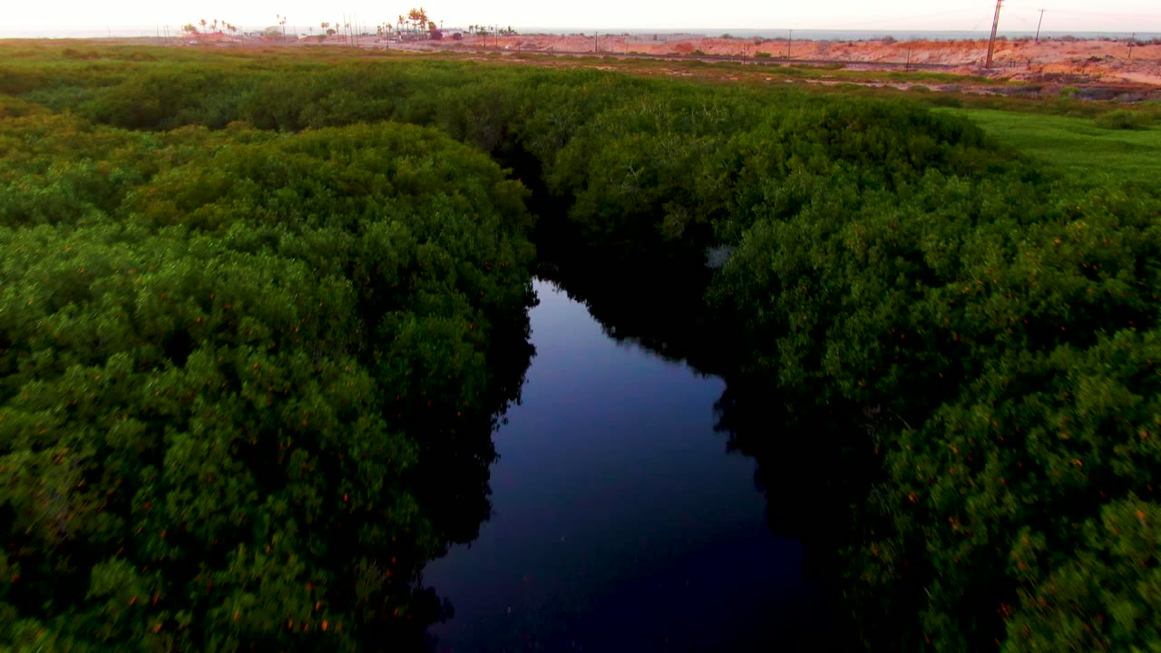 Aerial view in San Carlos, Baja California Sur, looking over a narrow dark river bordered by dense green foliage, with reddish earth on the far horizon and no visible people.