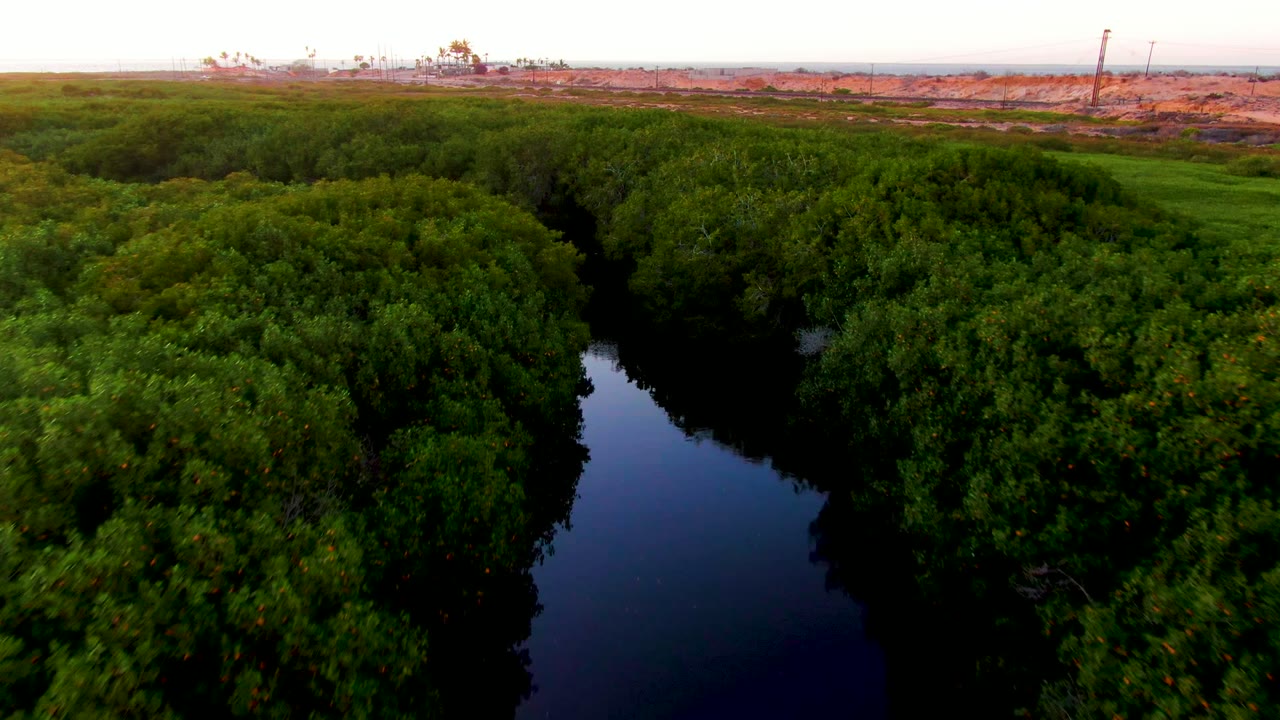 Dark reflective river bordered by thick green forest from above.