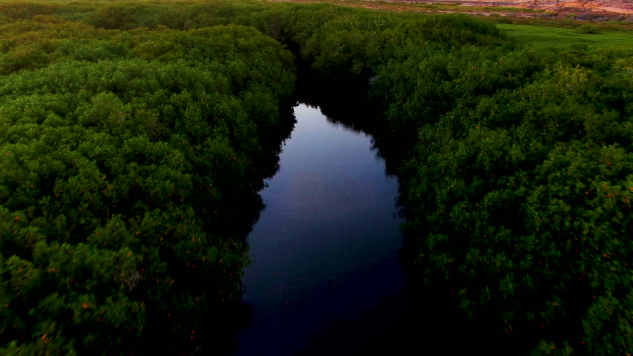 Reflective river surface framed by green forest on both banks.