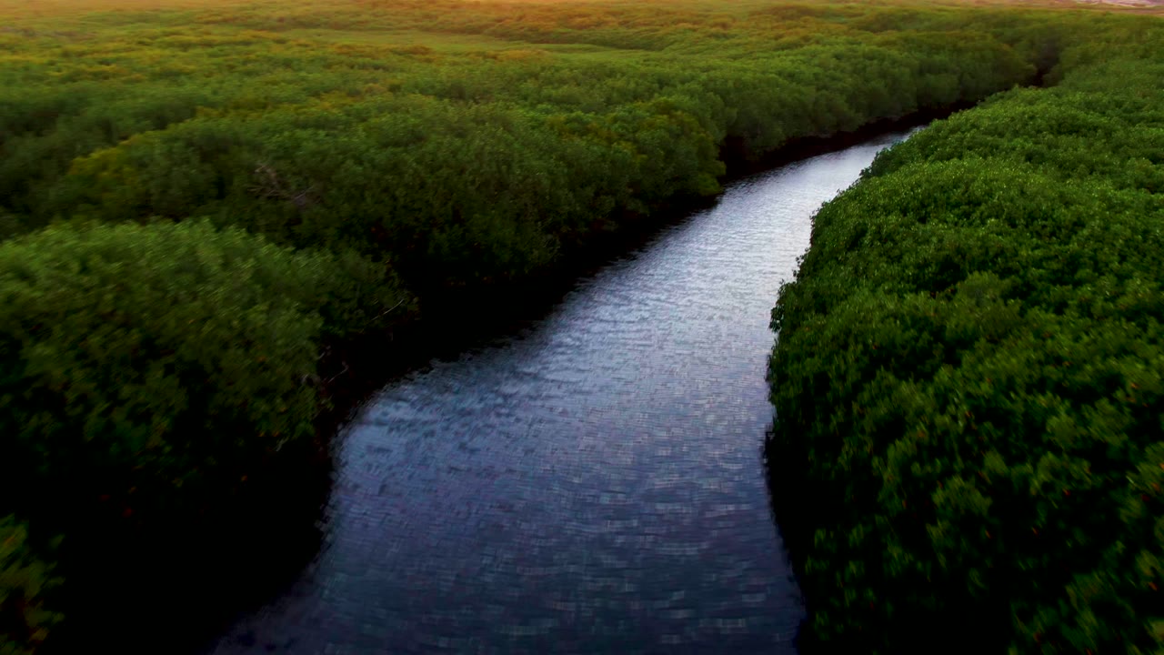 Aerial frame in San Carlos, Baja California Sur showing a narrow reflective river flanked by dense green vegetation on both sides, with no visible people.