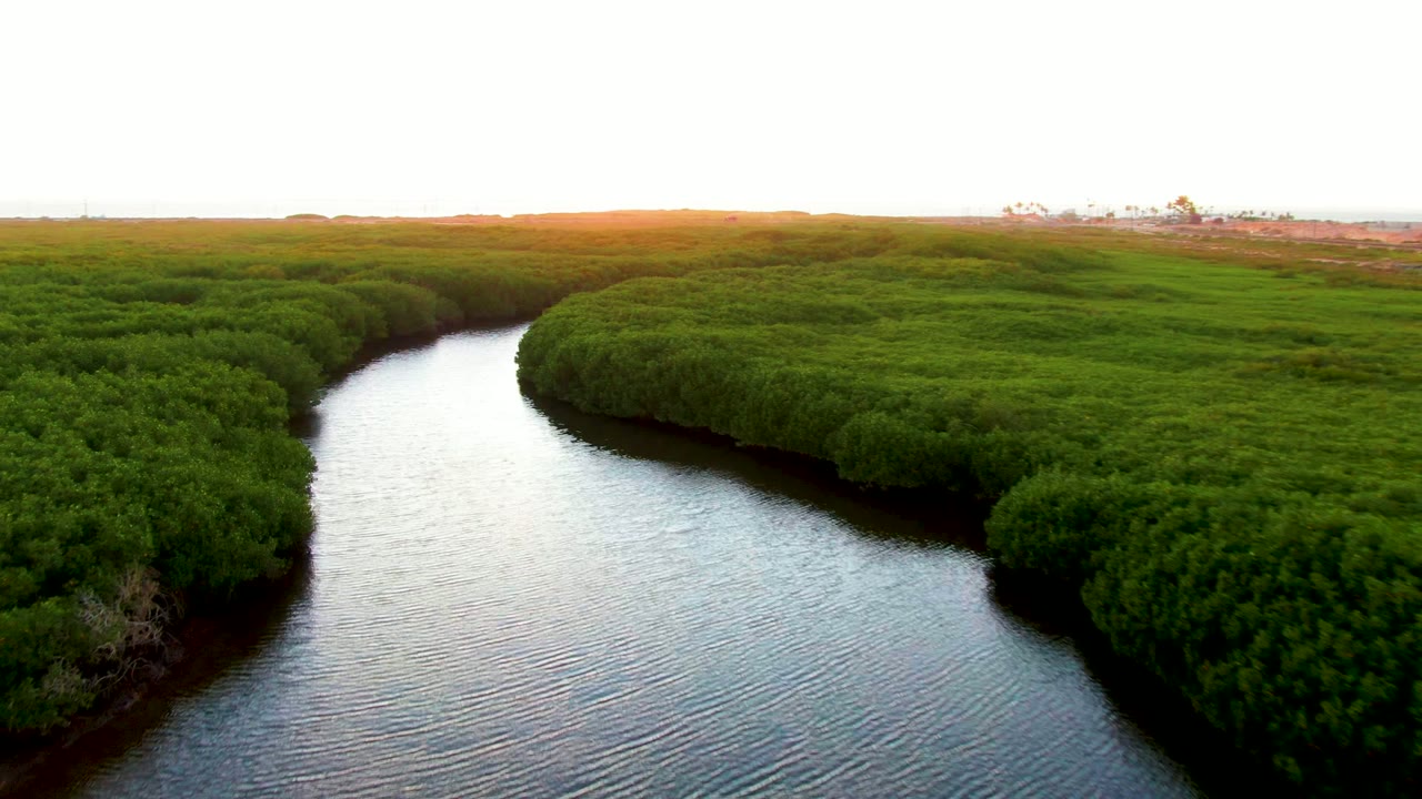 Curving waterway running between thick green marsh vegetation.