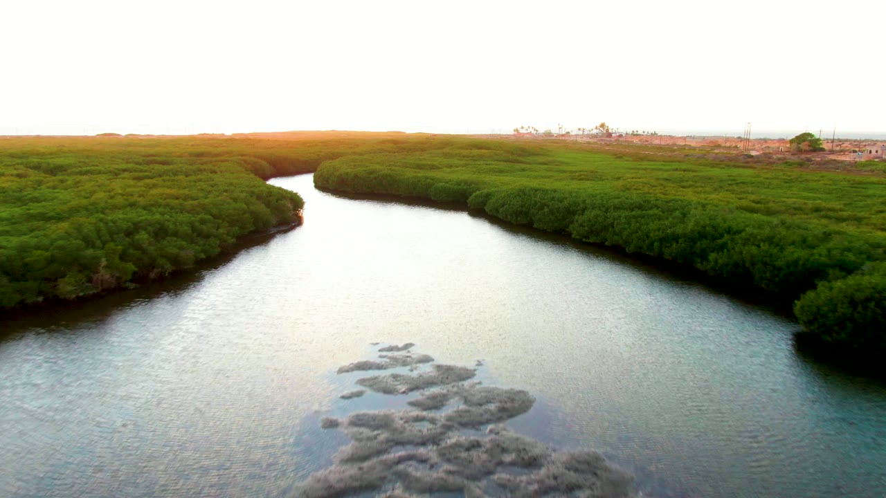 Aerial frame over San Carlos, Baja California Sur showing dense green mangroves enclosing a reflective channel, with debris still visible lower in frame and no visible people.