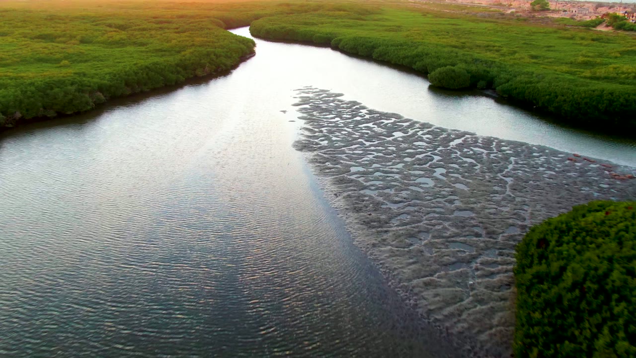 Aerial view in San Carlos, Baja California Sur, with a bright river channel curving around ribbed gray mudflats and dense green marsh banks under warm low light, no visible people.