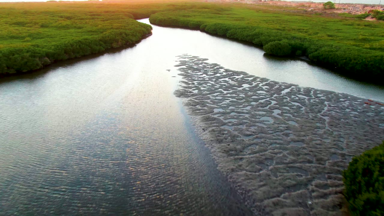 River water surrounds exposed mudflats beside dense green vegetation.