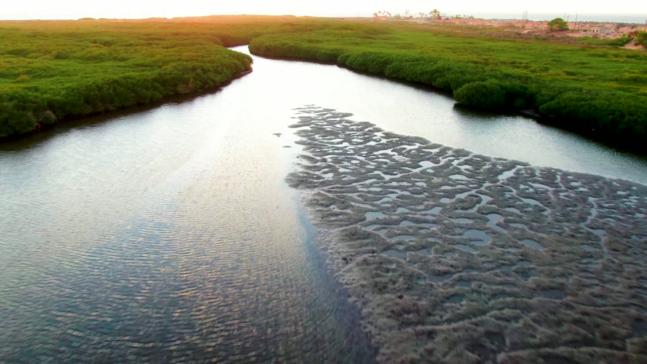 Aerial view in San Carlos, Baja California Sur, with a triangular ribbed mudflat area tapering toward a river bend, green marsh banks on both sides, and pale sunset light on the water, no visible people.