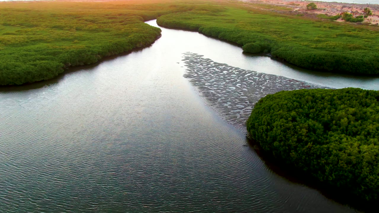 Aerial frame from San Carlos, Baja California Sur showing a curving river bordered by dense green mangroves, with textured shallows near the bend and no visible people.