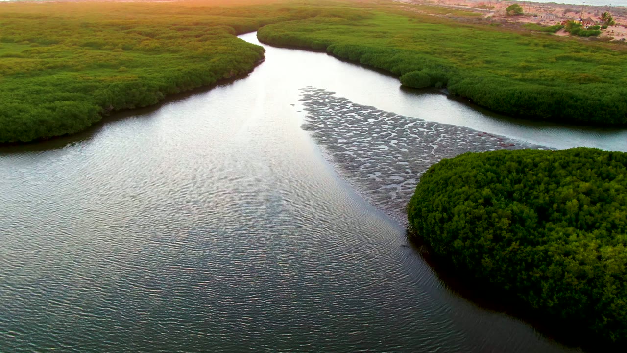 Aerial view over San Carlos, Baja California Sur where green mangroves frame a narrow reflective waterway and patterned shallows, with no visible people.