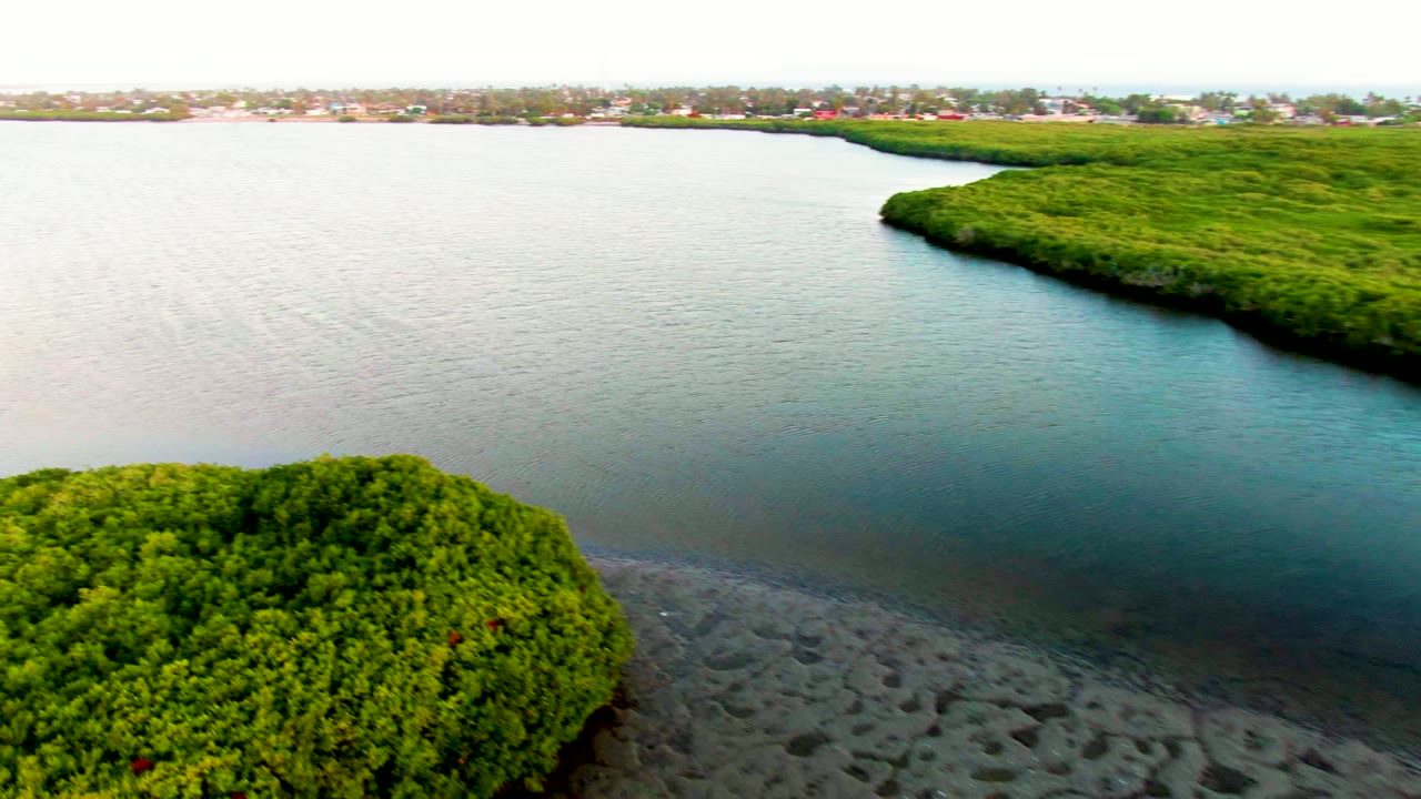 Aerial frame over San Carlos, Baja California Sur showing dense green mangroves in the lower left, sandy shallows below, calm blue-green water, distant buildings on the horizon, and no visible people.