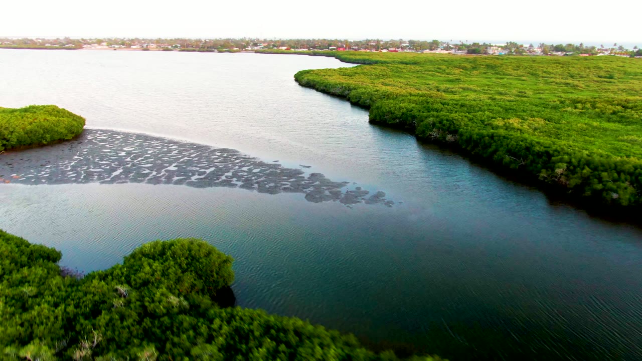 Aerial view in San Carlos, Baja California Sur showing dense green shore vegetation, blue-green water, a gray muddy channel, distant buildings, and no visible people.