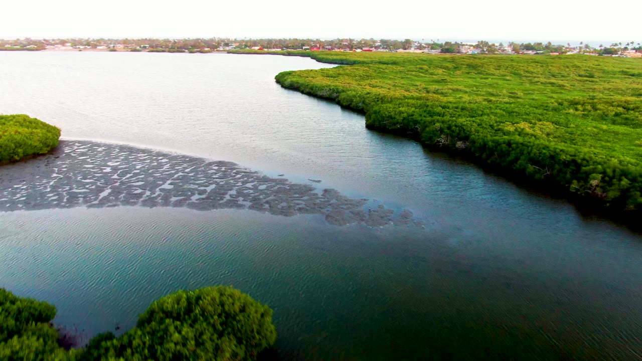 Drone view over calm water with a green shoreline and exposed muddy shallows.
