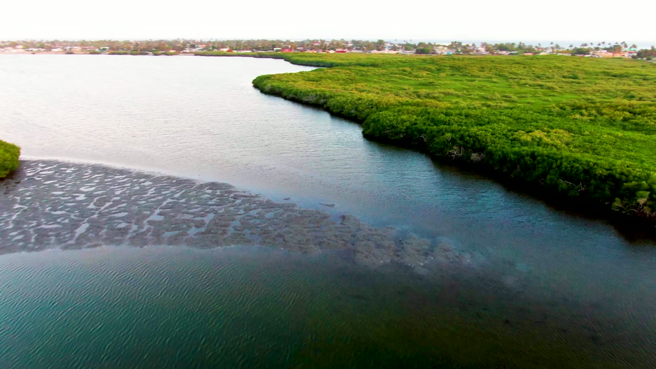 Aerial frame from San Carlos, Baja California Sur showing rippled blue-green water, darker muddy flats near the shore, bright green vegetation, a pale sky, and no visible people.