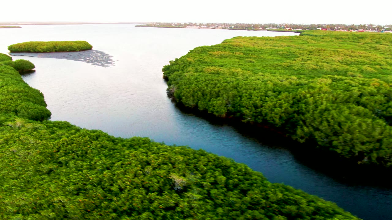 Aerial frame over San Carlos, Baja California Sur, showing a narrow blue-green waterway between dense green islands, with distant shoreline buildings and no visible people.