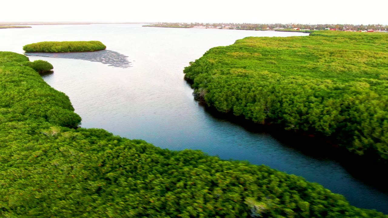 Green island edges curve around a narrow blue water channel.