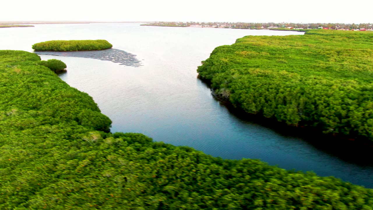 San Carlos aerial frame showing dense green islands beside calm rippled water, a small island near the upper left, distant shoreline buildings, and no visible people.
