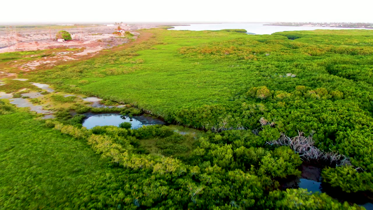 Drone view of marsh vegetation with a pond left of center and distant shoreline.