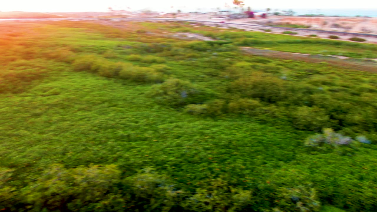 High aerial view over green fields and dense trees in San Carlos, Baja California Sur, with sunset glare near the horizon and no visible people.
