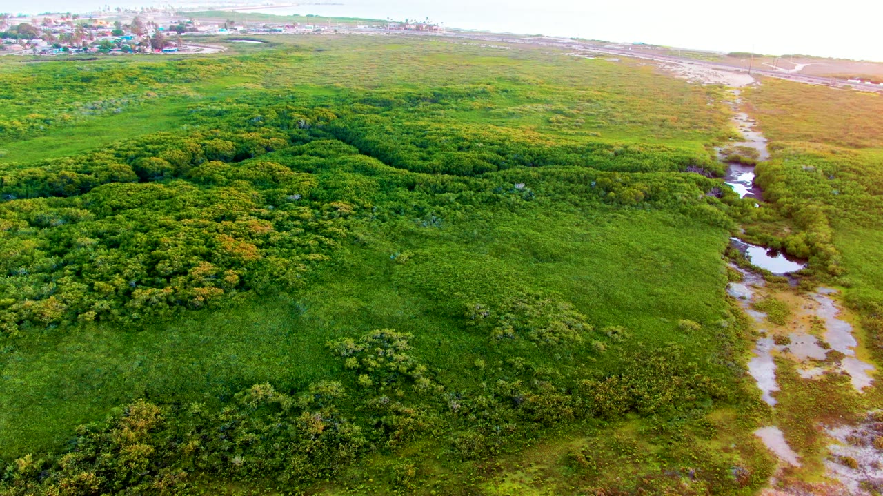 Aerial view over San Carlos, Baja California Sur, showing dense green fields, a winding stream on the right, a distant settlement near the horizon, and no visible people.