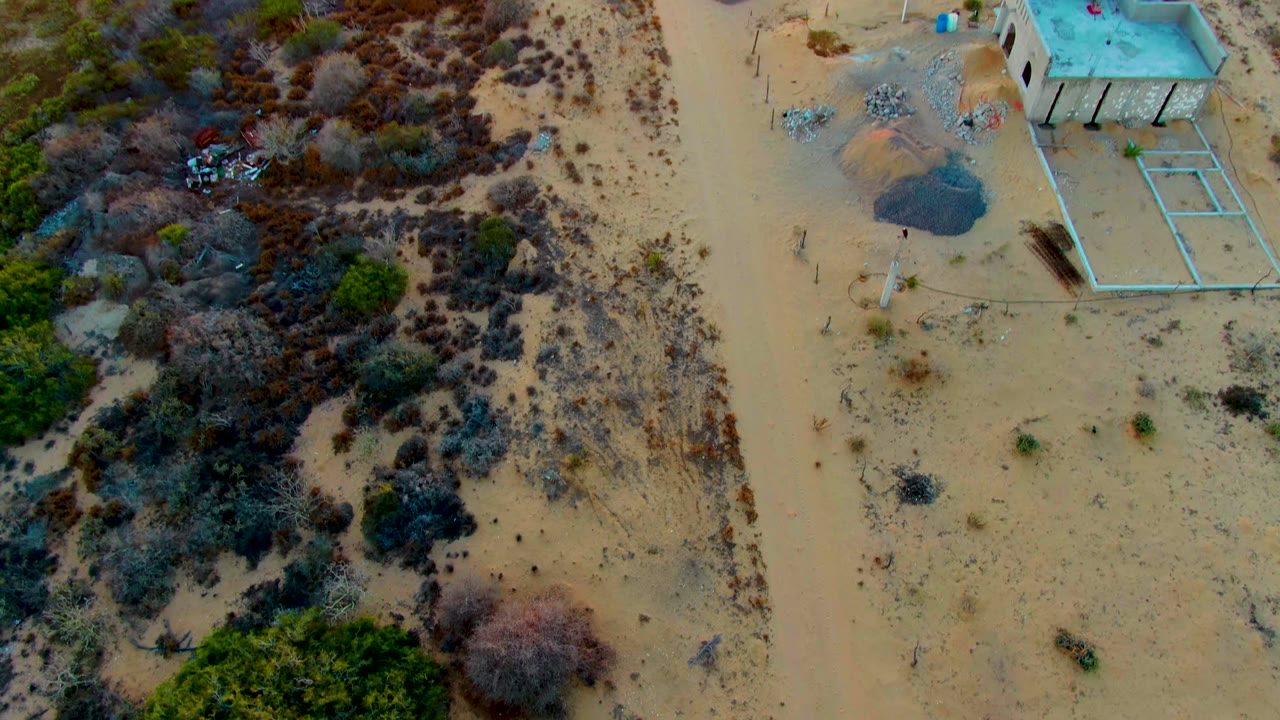 Top-down frame showing mixed dark brush, sandy open ground, and the edge of a rectangular construction layout in San Carlos, Baja California Sur, with no visible people.